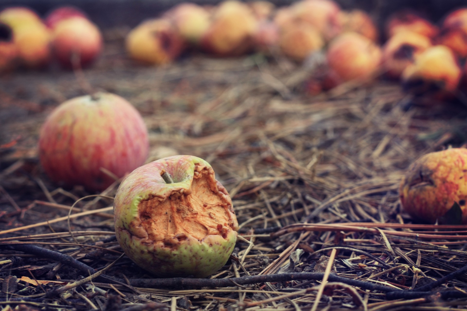 Very low hanging fruits